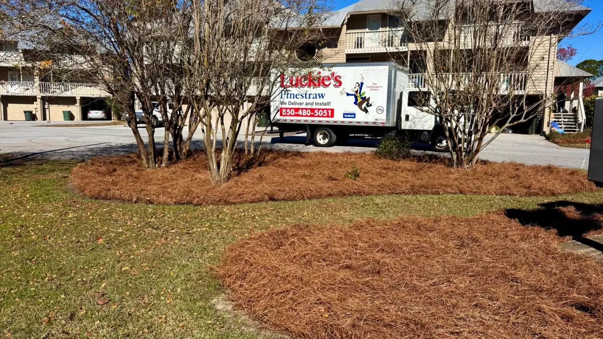 Crisp curved bed edges around crape myrtles, Luckie's Pinestraw truck parked at the curb