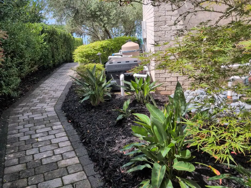 Fresh black mulch spread along a paver walkway beside pool equipment and tropical plants