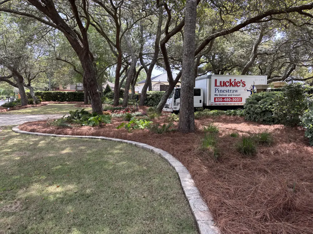 Cobblestone border curves between lawn and fresh straw, company box truck parked beyond the oaks