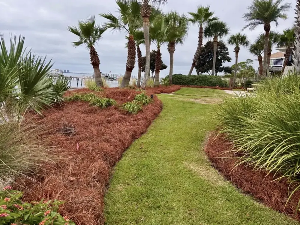 Dyed red straw beds by Luckie's Pinestraw sweep along a waterfront lawn under palms — serving Pace and the surrounding Gulf Coast