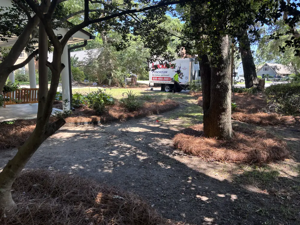 Luckie's Pinestraw box truck parked curbside as fresh straw goes down around shaded front-yard beds
