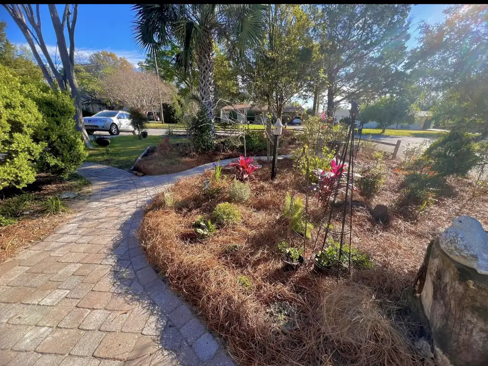 Brick paver path curves past red cordylines and a birdhouse standing in fresh straw