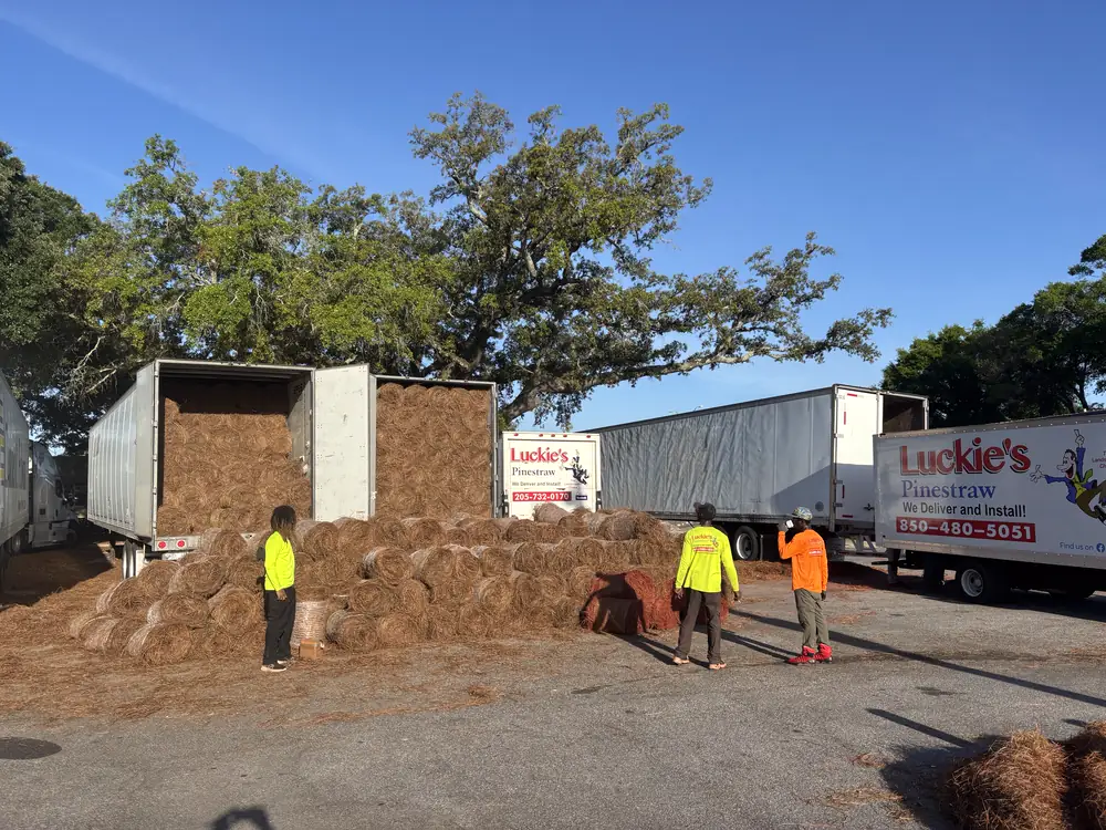 Crew loading round pine straw bales from a trailer into branded box trucks — the finish we bring to Cantonment, FL landscapes