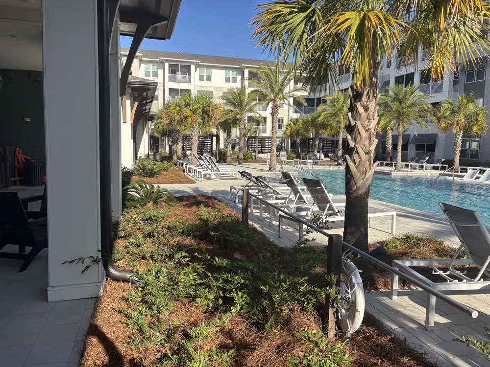Straw-covered beds and low shrubs framing a palm-lined apartment pool courtyard — the finish we bring to Pace, FL landscapes