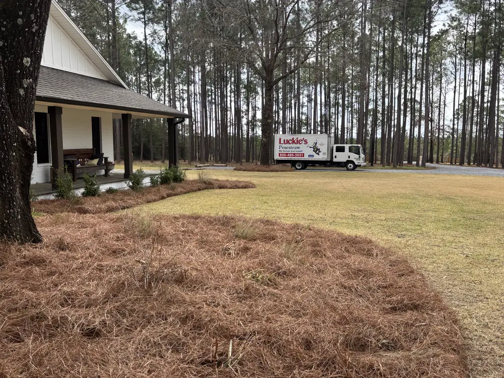 Broad straw bed sweeping across the lawn past a porch swing, box truck on the drive
