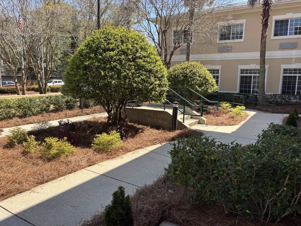 Neatly strawed beds wrapping sidewalks and a handrail ramp at an office entrance — Luckie's Pinestraw, serving Navarre, FL
