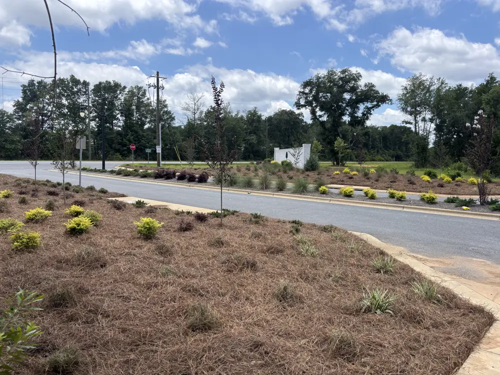 Broad roadside beds of dry tan straw with young trees and gold shrubs near an entrance wall